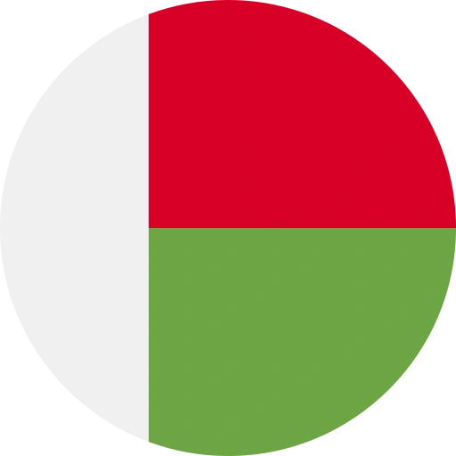 madagascar flag